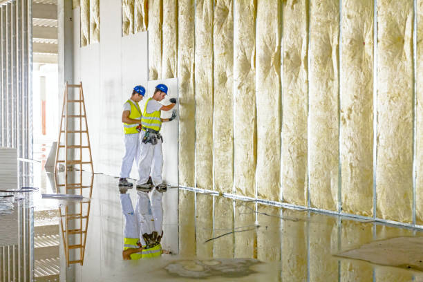 Best Insulation Installation Services in League City, TX